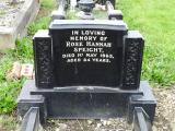 image of grave number 846356